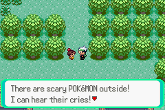 PokemonEmerald_108.png