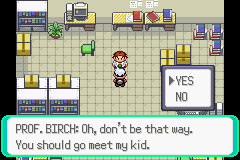 PokemonEmerald_11.png