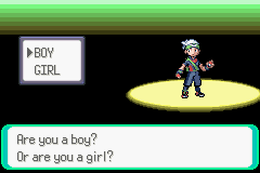 PokemonEmerald_14.png