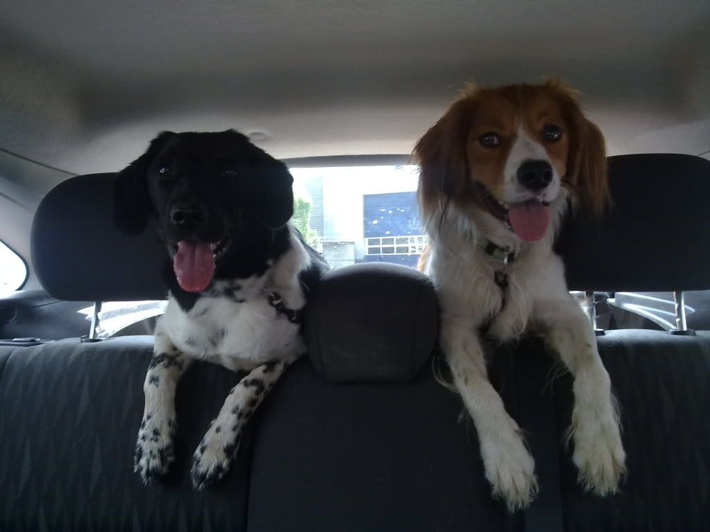 08082010115.jpg