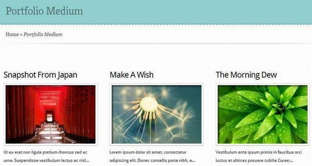 boutique-wordpress-theme-portfolio-page