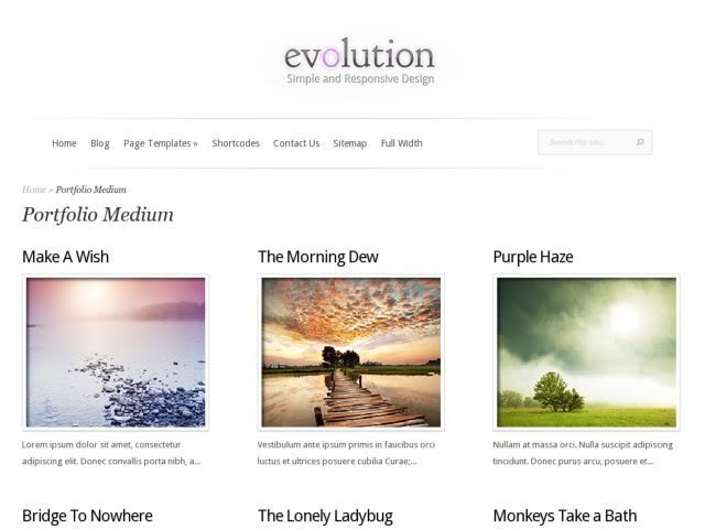 evolution-portfolio-wordpress-theme