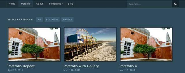 empire-wordpress-theme-portfolio-page