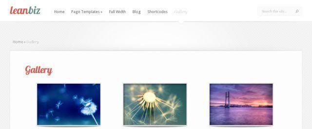 leanbiz-wordpress-theme-gallery-template