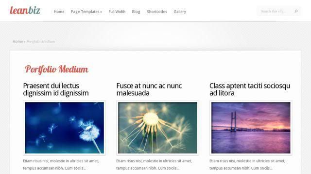 leanbiz-wordpress-theme-portfolio-template