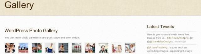 suco-wordpress-theme-gallery-page