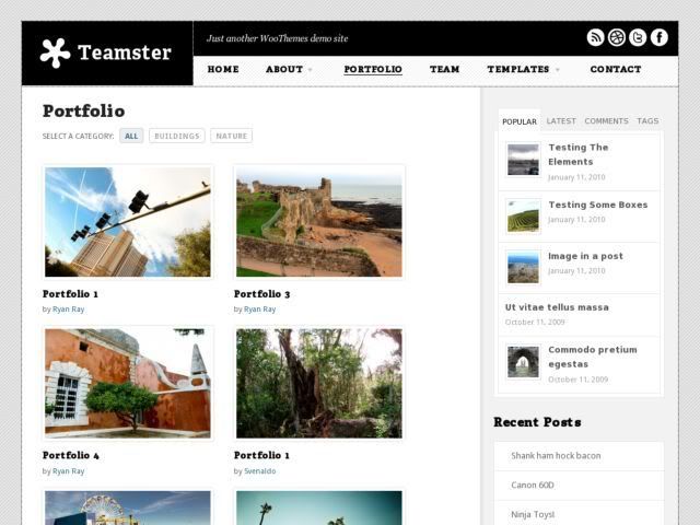 teamster-wordpress-theme-portfolio