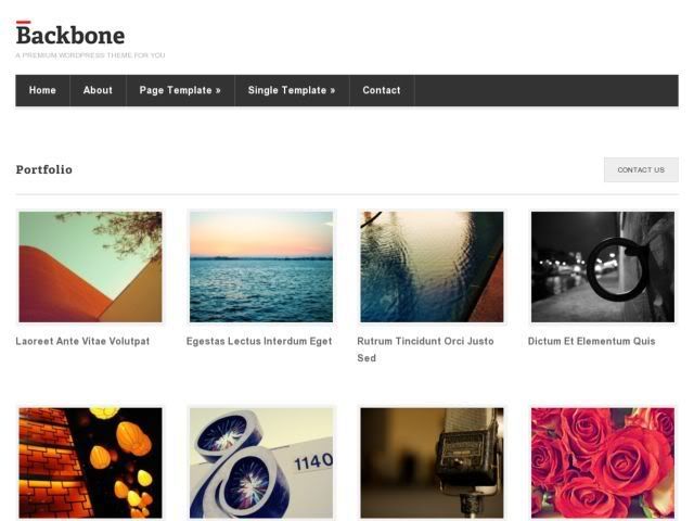 backbone-wordpress-theme-portfolio