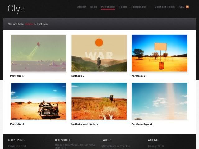 olya-wordpress-theme-portfolio