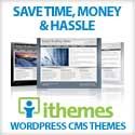 iThemes WordPress Themes