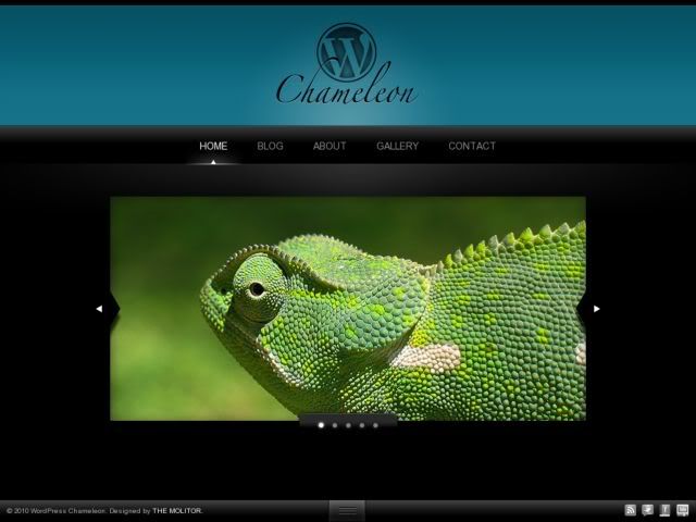 WordPress Chameleon