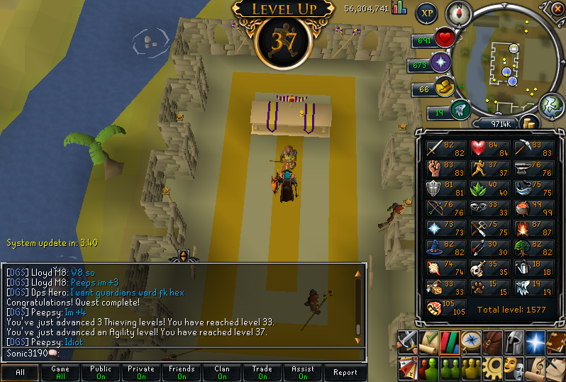 37Agility33Thieving.png