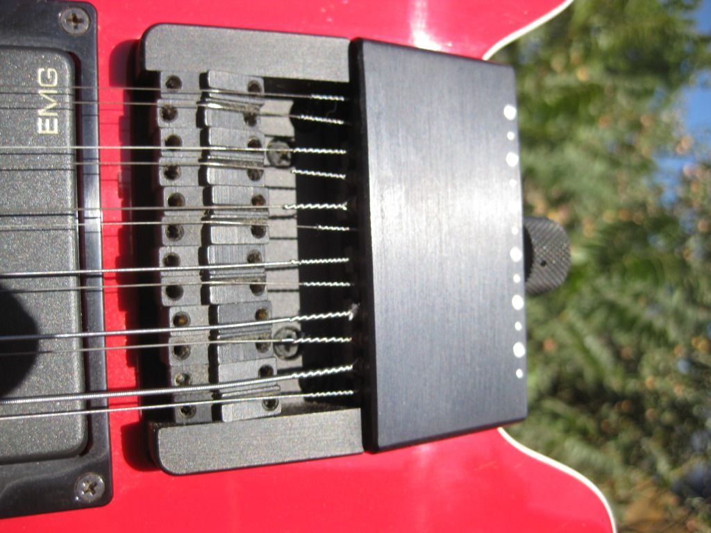 steinberger 12 string guitar