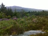 th_1306354549.jpg