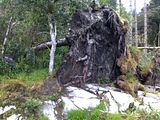 th_1306790322.jpg
