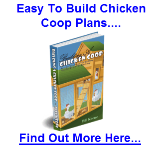  photo building-a-chicken-coop_zps356f0ff5.png