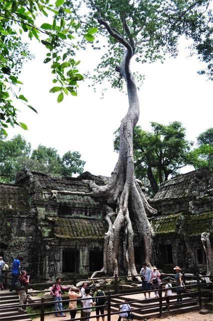 Vietnam, Camboya y Malasia, un viaje con final apoteósico - Blogs de Asia Sudeste - Siem Reap (9)