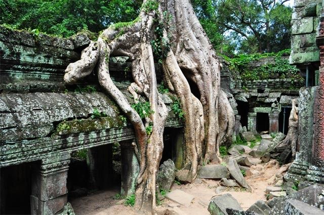 Vietnam, Camboya y Malasia, un viaje con final apoteósico - Blogs de Asia Sudeste - Siem Reap (8)