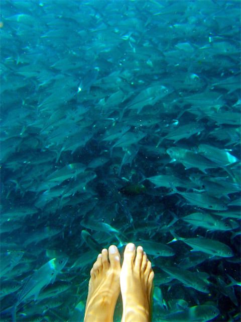 Pulau Mabul - Vietnam, Camboya y Malasia, un viaje con final apoteósico (4)