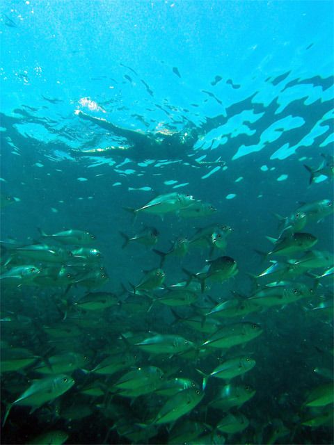 Pulau Mabul - Vietnam, Camboya y Malasia, un viaje con final apoteósico (5)