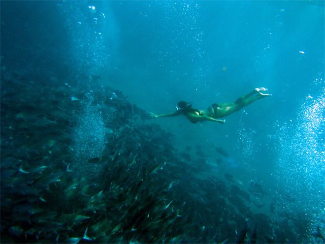 Pulau Mabul - Vietnam, Camboya y Malasia, un viaje con final apoteósico (6)