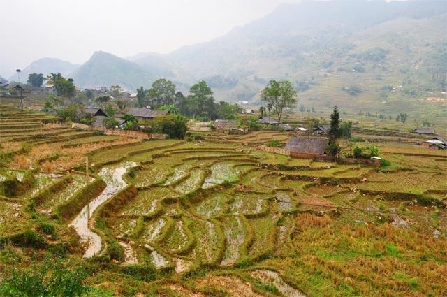 Vietnam, Camboya y Malasia, un viaje con final apoteósico - Blogs de Asia Sudeste - Sapa - Hanoi (12)