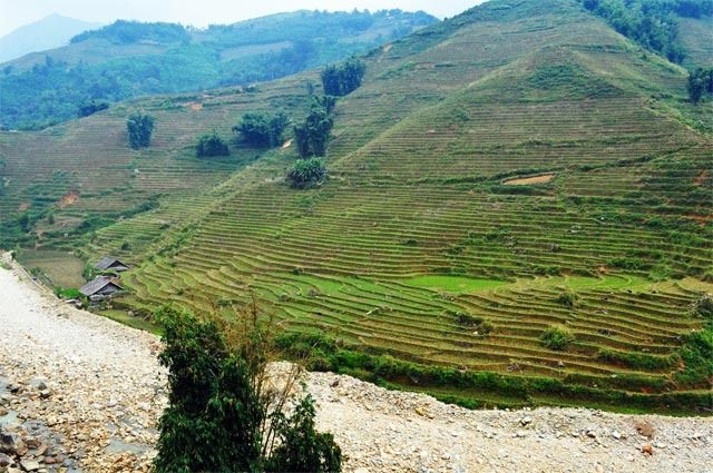 Vietnam, Camboya y Malasia, un viaje con final apoteósico - Blogs de Asia Sudeste - Sapa - Hanoi (9)