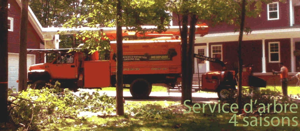 Service d'arbres 4 saisons - Émondage Drummondville