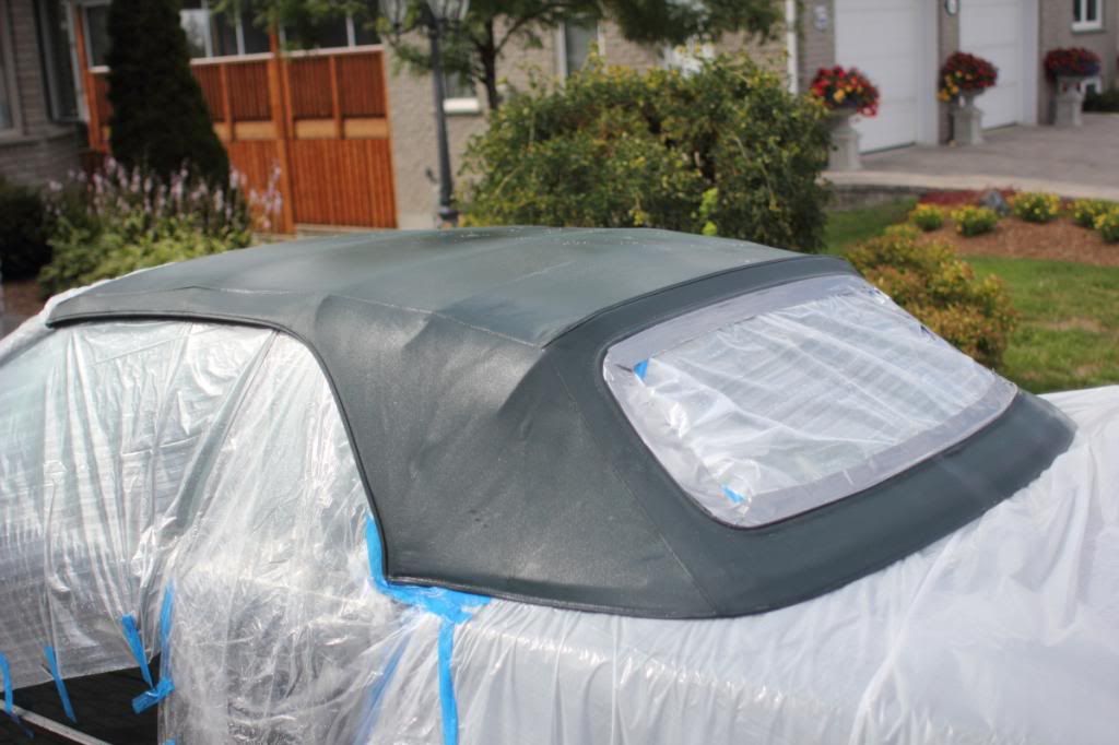 Convertible owners, come inside! 303 vs. RaggTopp protectant!