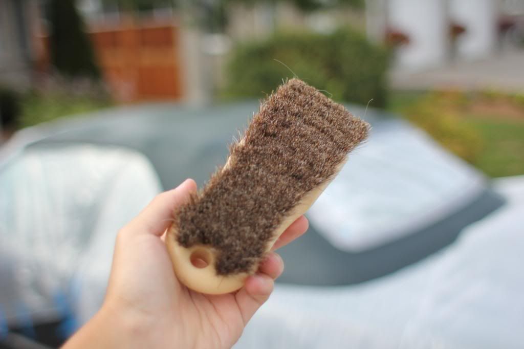 Convertible owners, come inside! 303 vs. RaggTopp protectant!