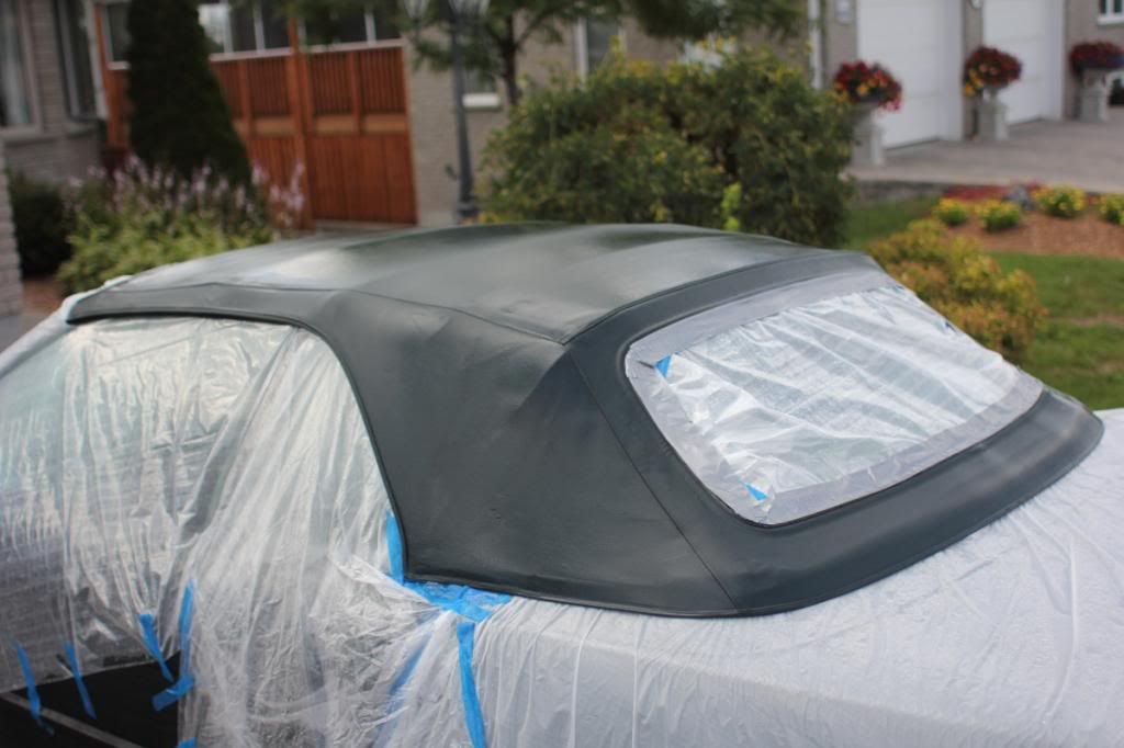 Convertible owners, come inside! 303 vs. RaggTopp protectant!