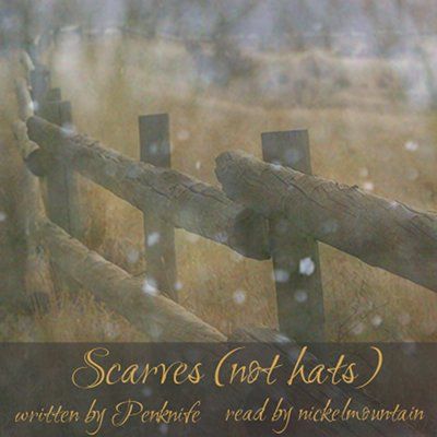  photo HPScarvesnothatscover3_zps631c0159.jpg