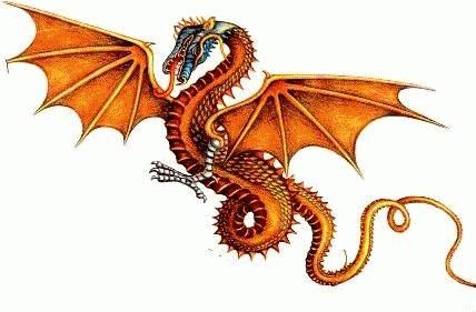  photo dragon-orange.jpg