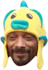 snoopfunnyhat_zpsd6a75207.png