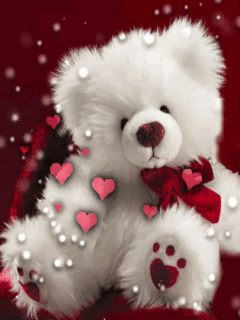 loving bear Pictures, Images and Photos