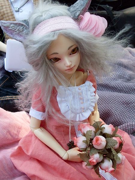 photo SDC13730_zps16431b3a.jpg