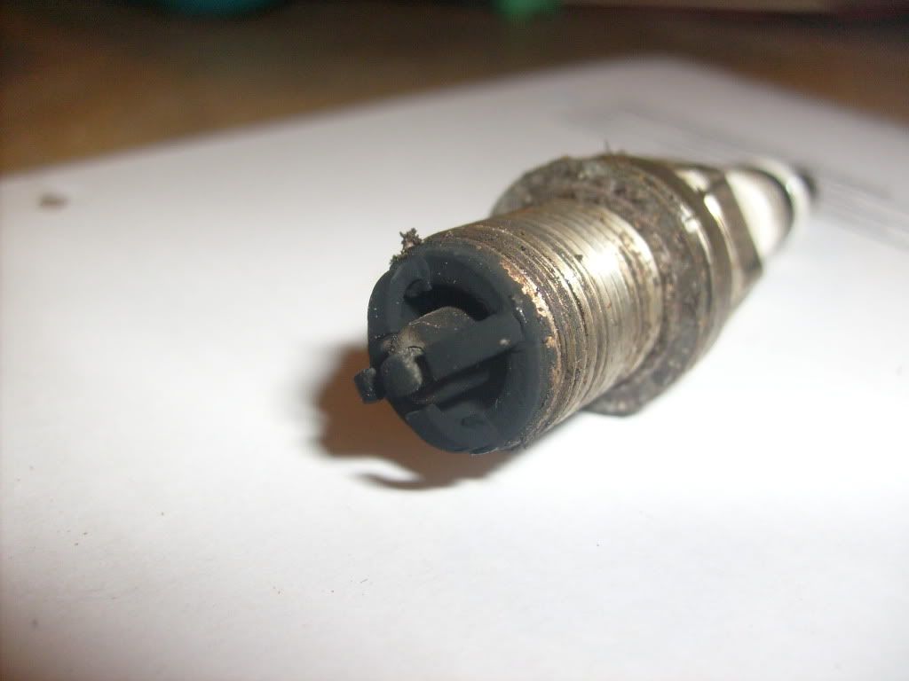 S6300409.jpg