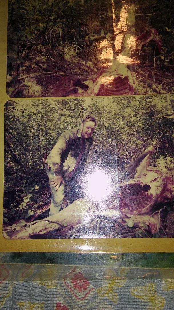 [Image: 20150922_180306.jpg]