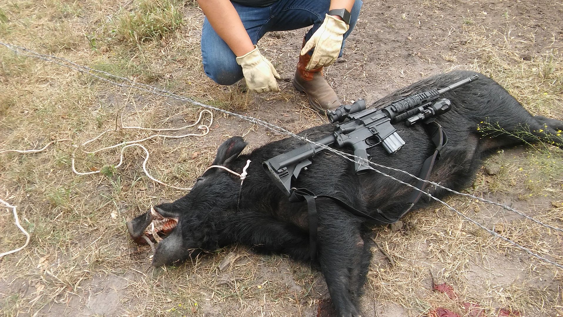 [Image: 20151008_170012_Burst02.jpg]