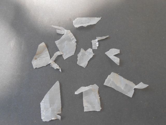 [Image: DSCN0058.jpg]