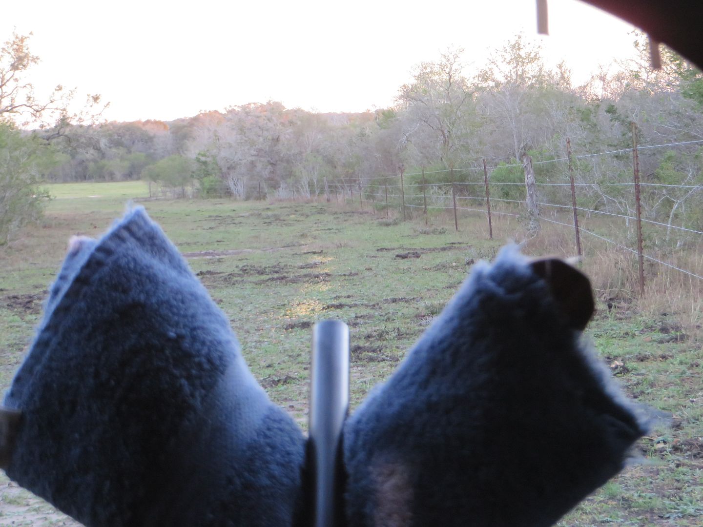 [Image: IMG_4495.jpg]