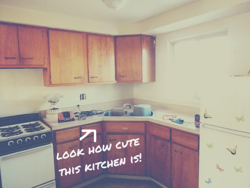 Kitchen1_zpsce981f2e