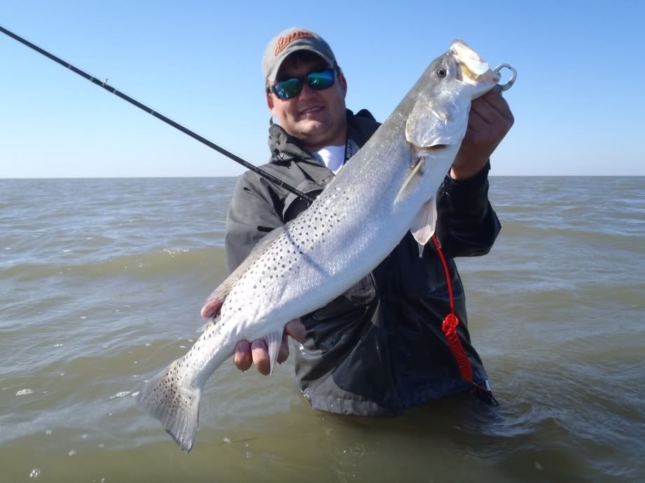 Tribute to Paul Brown Show us your Rare Corkies Page 3 2 Cool