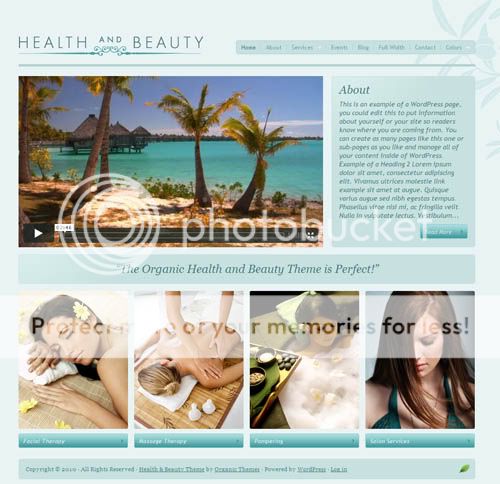 health and beauty wordpress theme