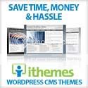 iThemes WordPress Themes