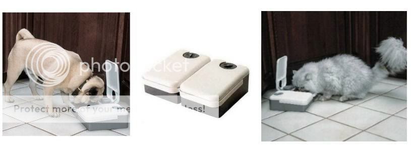 Petsafe Automatic Dog And Cat Feeder  