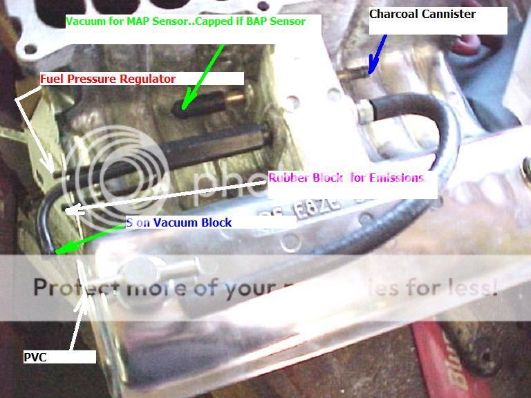 Upper intake vacuum hose routing... | Ford Mustang Forums